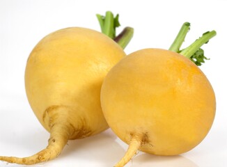 Golden Ball Turnip, brassica rapa, Vegetable against White Background