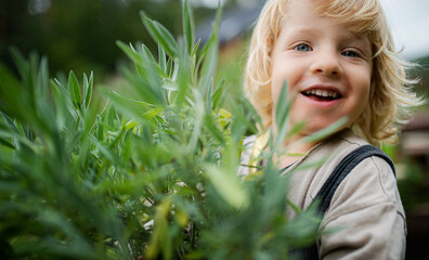 Close-up portrait of small boy outdoors in garden, sustainable lifestyle concept.