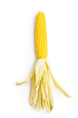 Sticker - Uncooked corn cob