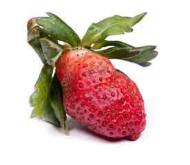 Wall Mural - Rotten strawberry isolated