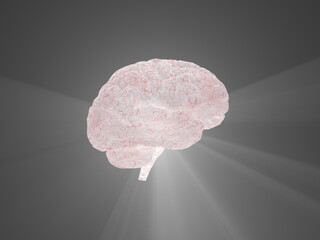 Wall Mural - Human brain emits light. 3D rendering