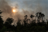 Fototapeta Na sufit - Sonne wird durch Rauch bei einem Waldbrand verdunkelt