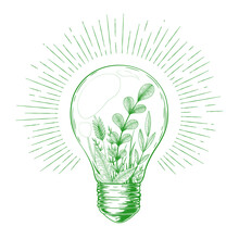 Vector Vintage Illustration With Hand Drawn Green Light Bulb, Plants, Herbs, Branches And Floral Elements Inside Isolated On White Background