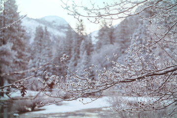 Wall Mural - Winter in Yosemite