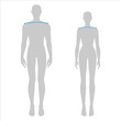 © Vectoressa - Women and men to do shoulder width measurement fashion Illustration for size chart. 7.5 head size girl and boy for site or online shop. Human body infographic template for clothes.