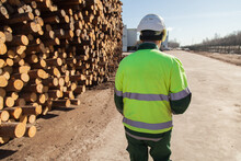 Engineer Next To A Pile Of Logs At A Sawmill
