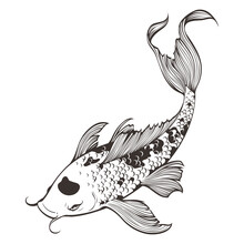 Vector Illustration Of Hand Drawn Koi Fish Line Drawing. Japanese Carp Doodle. Isolated On White Background. Black And White. This Design For Coloring Book, Tattoo, Decoration, Pattern, And More.