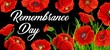 Remembrance Day poster with poppies for British national memorial anniversary of war soldier. 11 November Anzac Day design with red poppy flowers, symbol of freedom, remembrance commemorate