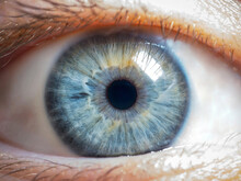 Close Up Of Human Eye