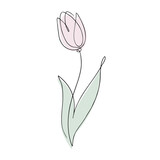 Fototapeta Tulipany - Hand drawn outline vector illustration of Tulip flower. Continuous line art, minimalist concept