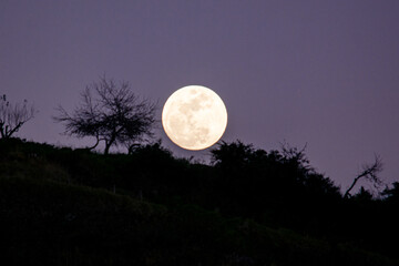 Wall Mural - Full moon on the mountain 