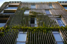Eco Home - Frame For Ivy On The Facade Of A Modern Apartment Building In Copenhagen, Denmark