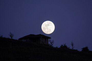 Wall Mural - full moon in the night