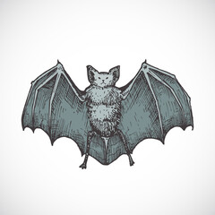 Wall Mural - hand drawn colorful halloween scary vampire vector illustration. abstract bat with wings sketch. eng