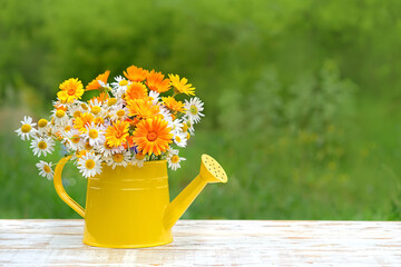 Wall Mural - summer flowers bouquet in yellow watering can. rustic garden still life. summer blossom season. copy space