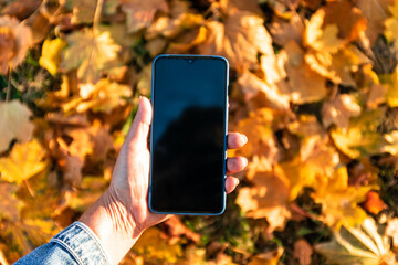 Woman using smartphone empty screen female hands autumn background colorful leaves