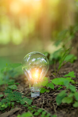 Light bulb Energy saving green nature background