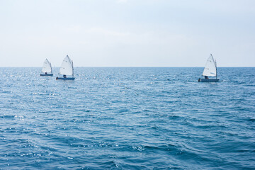 Three sailing boats, model Optimist, are sailing on a sunny day.