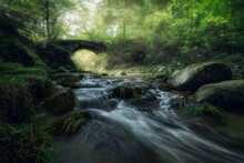 Narrow River With Small Cascade And Stony Shore Streaming Through Foggy Forest With Green Trees And Ancient Stone Bridge