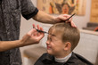 © Iryna - A pretty boy toddler happy to be on the haircut with a professional children's hairdresser. Blond little boy having a haircut at hair salon. Hairdresser's hands making hairstyle to child.