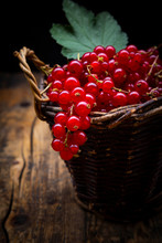Small Wicker Basket With Ripe Red Currant Berries