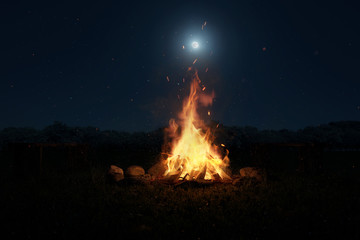 Wall Mural - 3d rendering of big bonfire with sparks and particles in front of forest and moonlight
