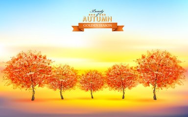Aufkleber - Beautiful autumn nature background with trees and landscape. Vector.