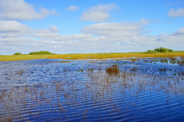 Wall Mural - everglades national park landscape	
