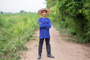 Wall Mural - Full body of Asian farmer man standing and cross hands looking sky at green farm