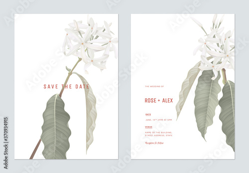 Floral wedding invitation card template design, Medicinal Kopsia flowers with...