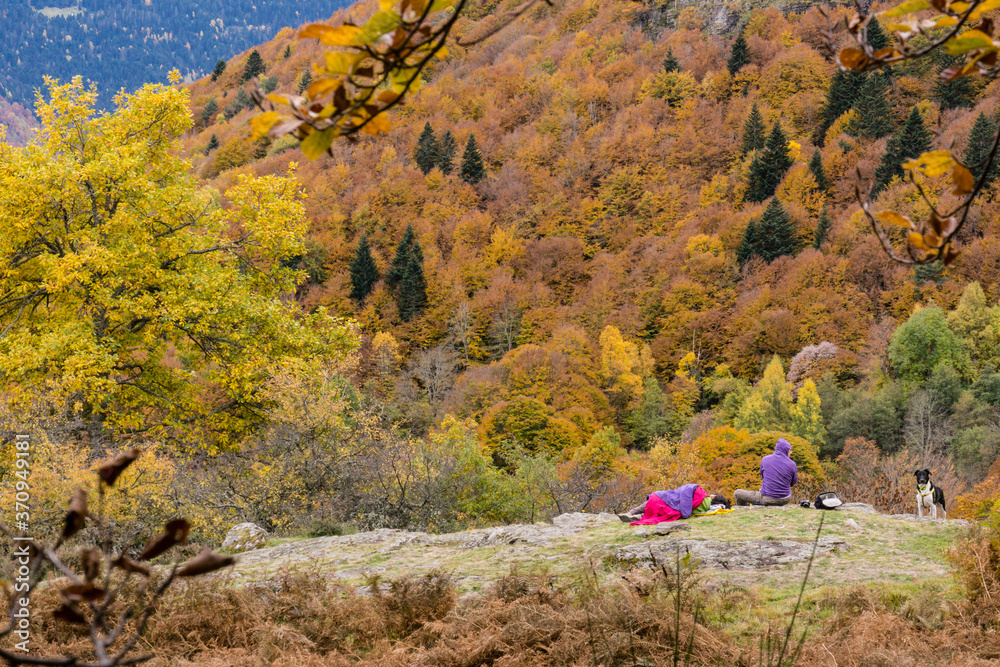 bosque de Carlac, - hayedo de Carlac-, Bausen, valle de Aran ...