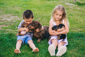 Two cute children playing with a dachshund family sitting on green lawn outdoors on Summer day.