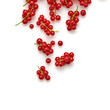 Redcurrant isolated on white. Fresh berry closeup, healthy diet concept. Ripe organic bilberry, mint leaf creative composition. Juicy redcurrant background, top view.