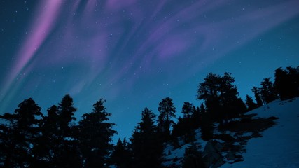 aurora purple over pine forest silhouette 01 loop