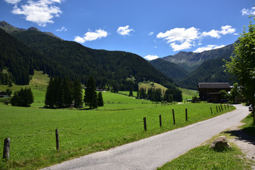 Meadows in the valley