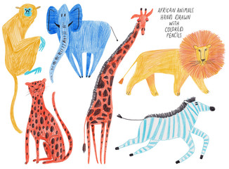 Set Of Isolated African Animal illustrations.