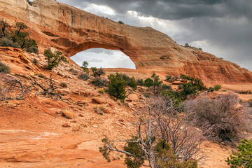 Wall Mural - wilsons arch utah usa