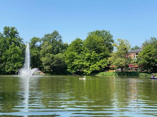 Beautiful lake in Dresden