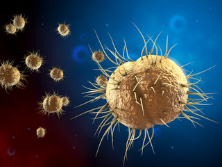 Gonorrhea causing bacteria