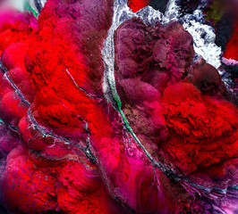 Wall Mural - 3d render of abstract art of surreal 3d background with part of ocean life organism or coral reef in super intensive red and purple color with white small parts