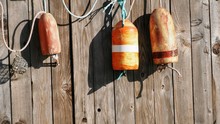 Colorful Old Boat Bumpers Next To A Wooden Fence
