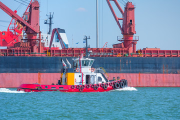 Wall Mural - Tugboat assisting cargo ship