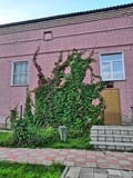 Fototapeta Krajobraz - house with flowers