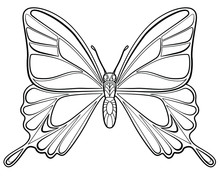 Butterfly Coloring Page For Children And Adults. Hand Drawing Vector Illustration In Black Outline On A White Background