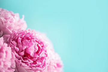 Wall Mural - Wedding, birthday, anniversary bouquet. Pink peony flower on blue background. Copy space. Trendy pastel floral composition. Woman day, Mother's day. Macro of peonies flowers
