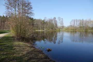 Wall Mural - Weiher bei Münster-Breutefeld