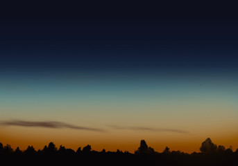 Wall Mural - sunset sky in evening with tree silouette abstract art background
