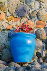 flower on the wall in a blue flowerpot
