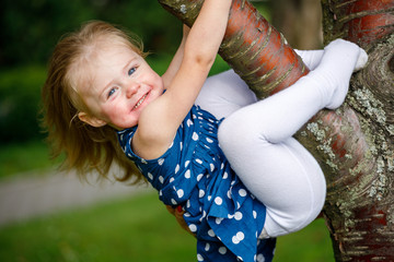 Poster - little girl in a blue dress hanging on a tree branch