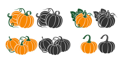 Pumpkins with leaves, silhouette on white background.